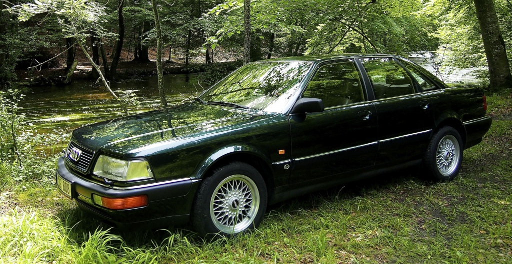948402p6260631.jpg