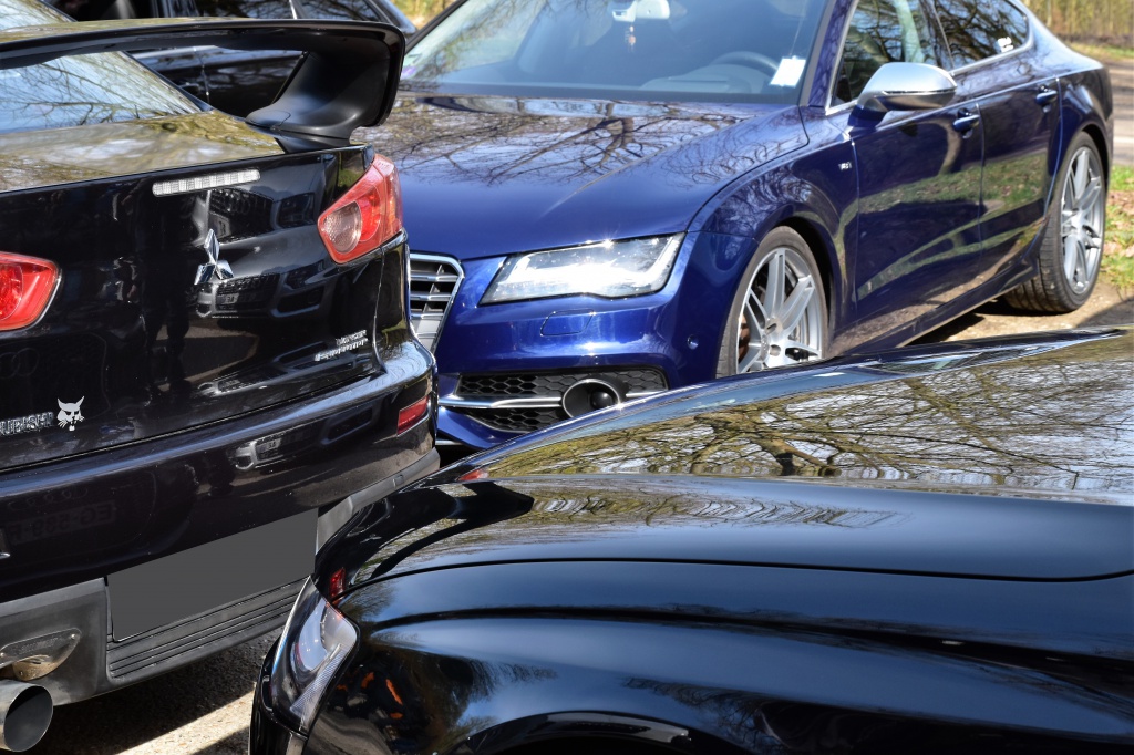 949284DSC00712x.jpg