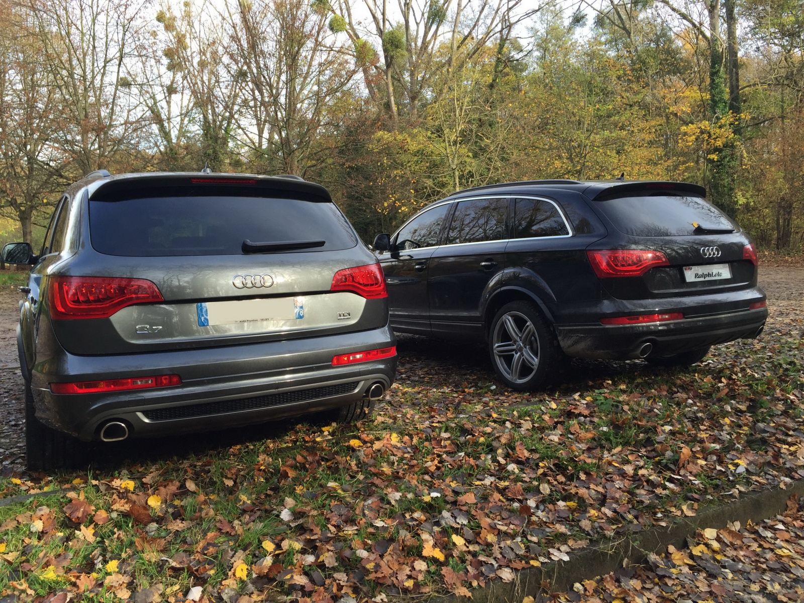 95095120151108RassemblementAudi07.jpg
