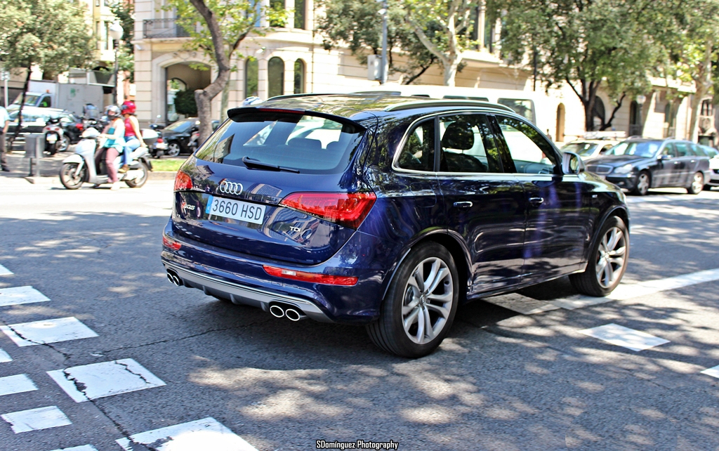 951037AUDISQ5795.jpg