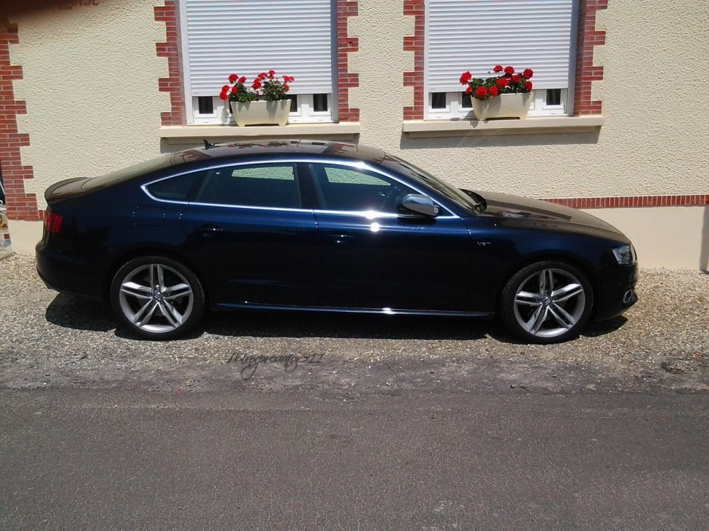 951960493S5SPORTBACK.jpg