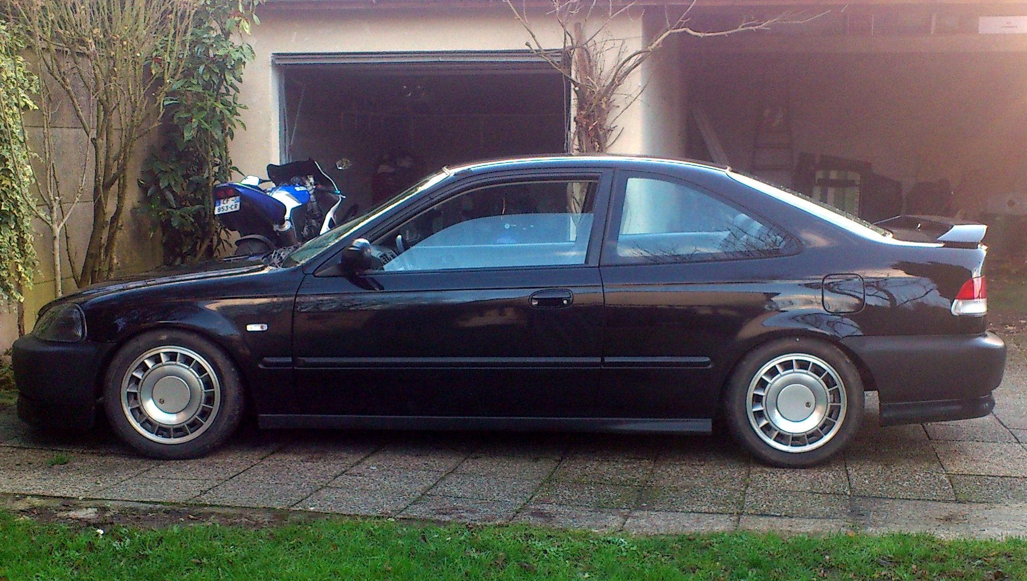 954269DSC0314.jpg