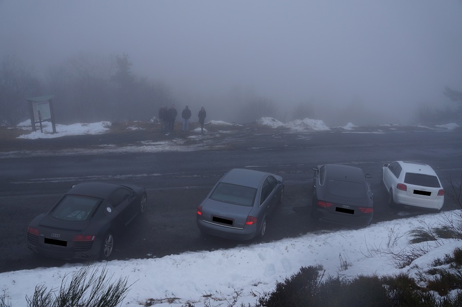 954997DSC02281Copie.jpg