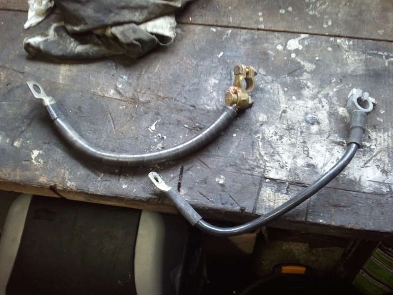 955596Photo3377.jpg