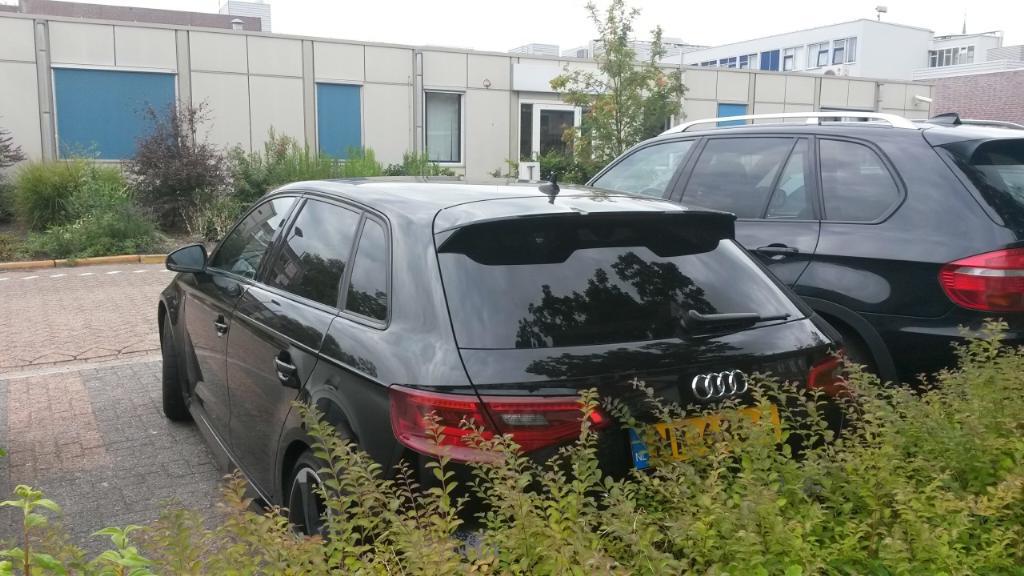 956155RS38V2878.jpg