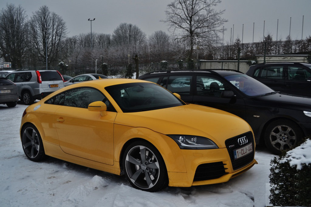 956549AUDITTRS502.jpg