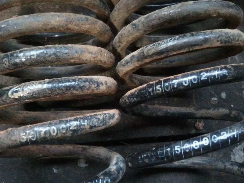957678Photo6066.jpg