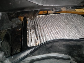 95829e580905113.jpg