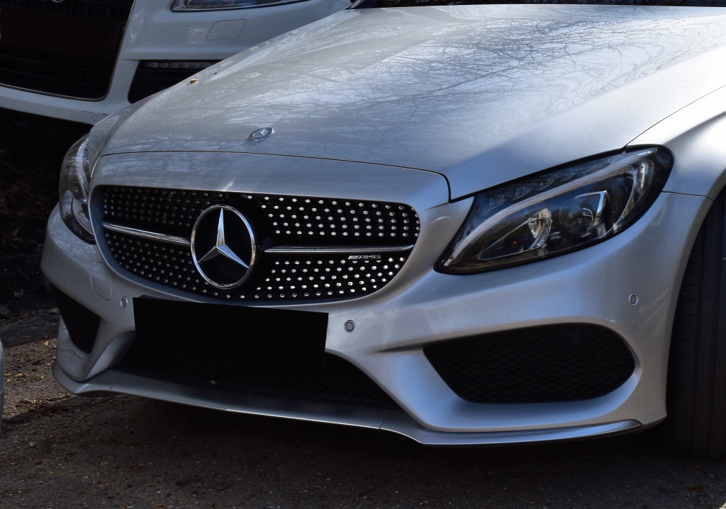 959718DSC01033x.jpg