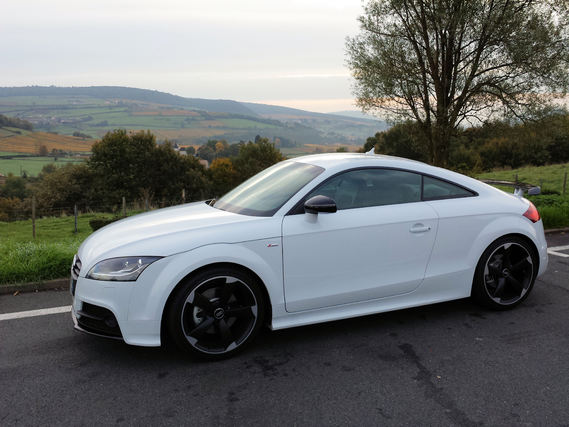 img-367572155f.jpg?v=6