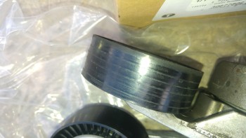 960f12478338874.jpg