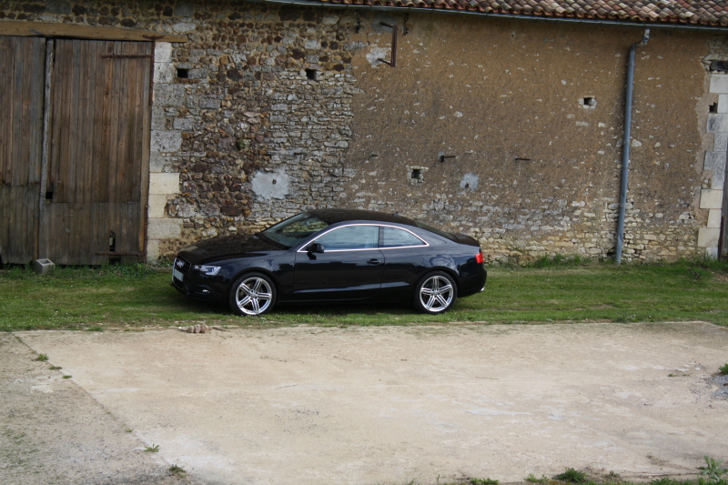 961077A5201225800x600.jpg