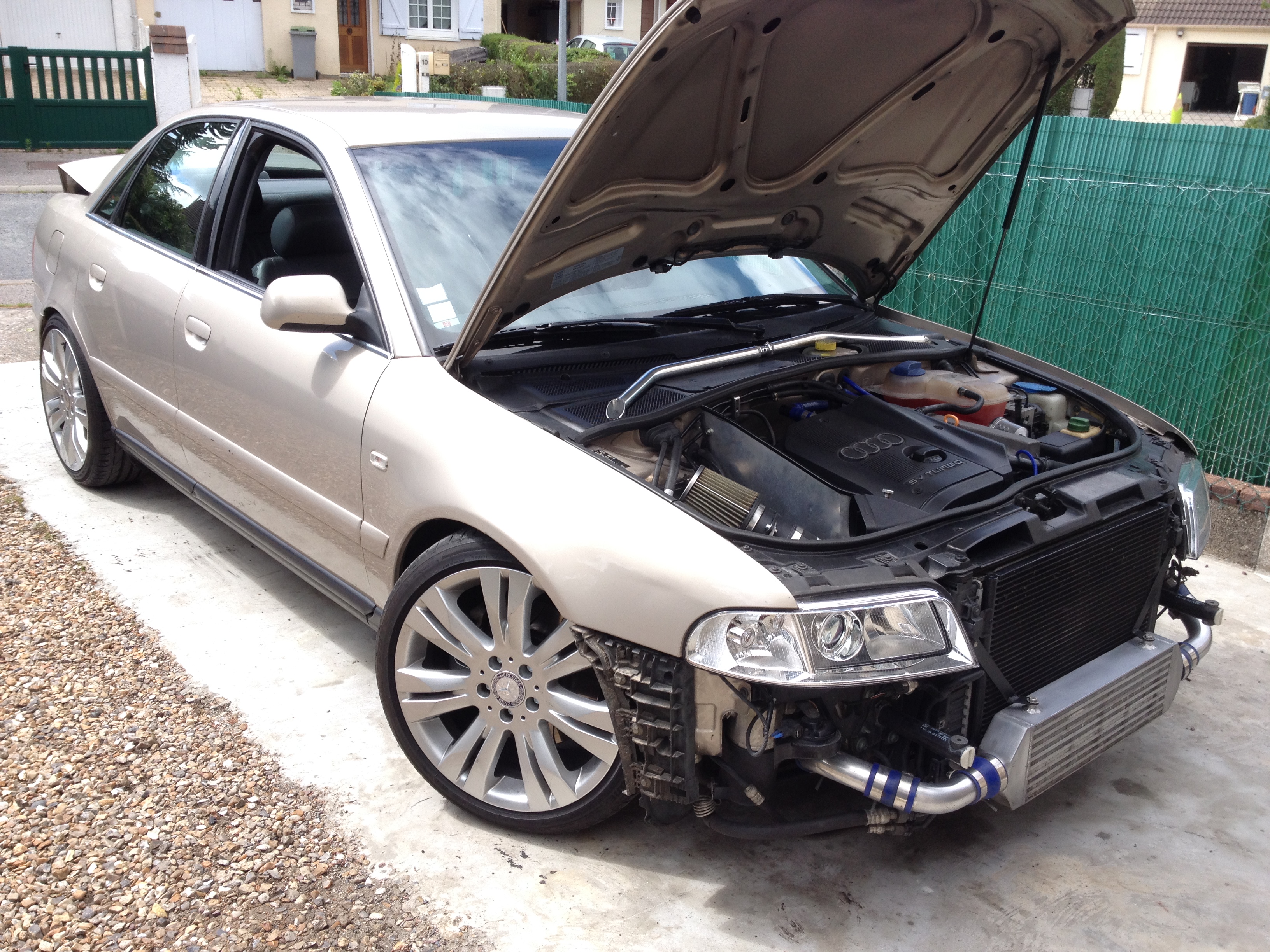 965491IMG1239.jpg