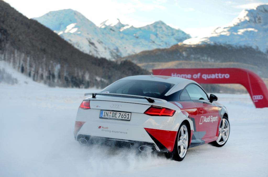 967835AUDITTRS8S0592.jpg