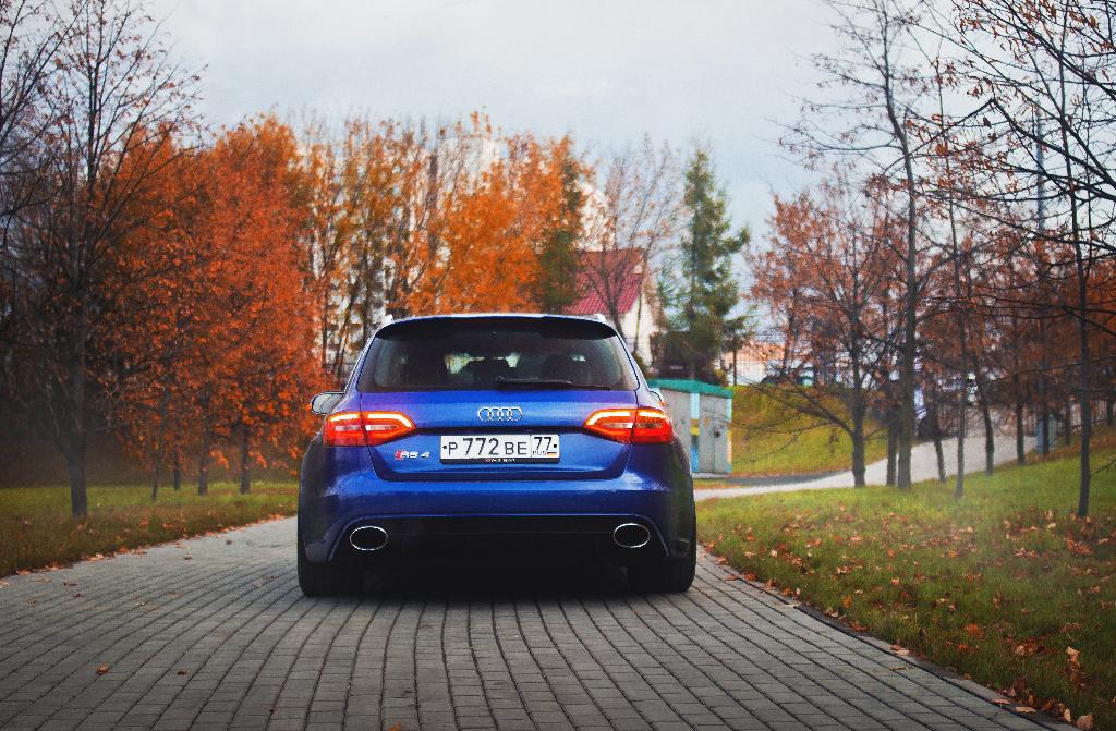 969173RS4B82668.jpg