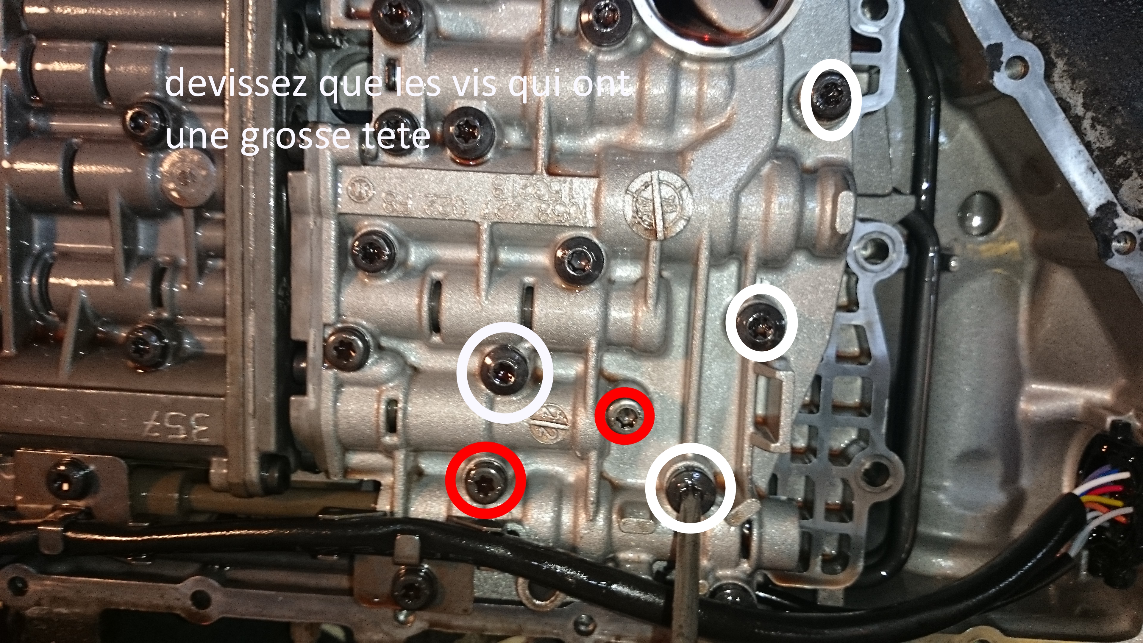 972391DSC0056.jpg
