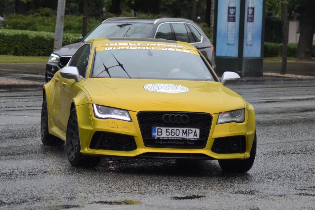 976726RS73507.jpg
