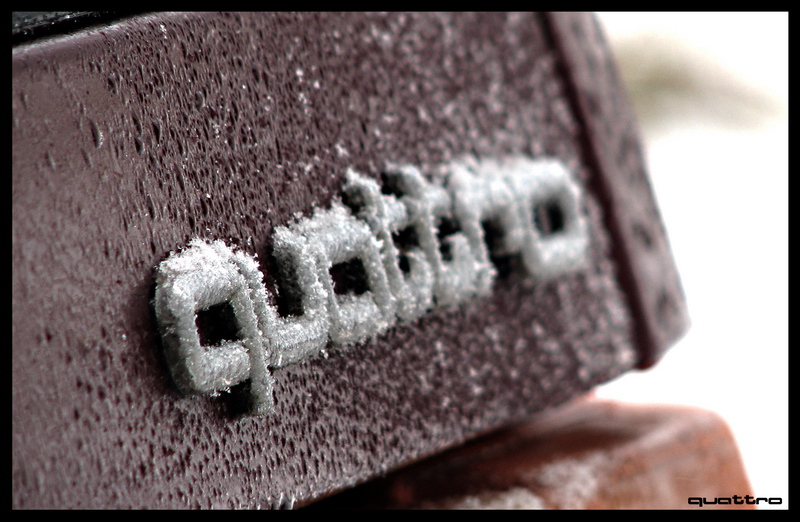977995132NEIGEESQUIROU.jpg