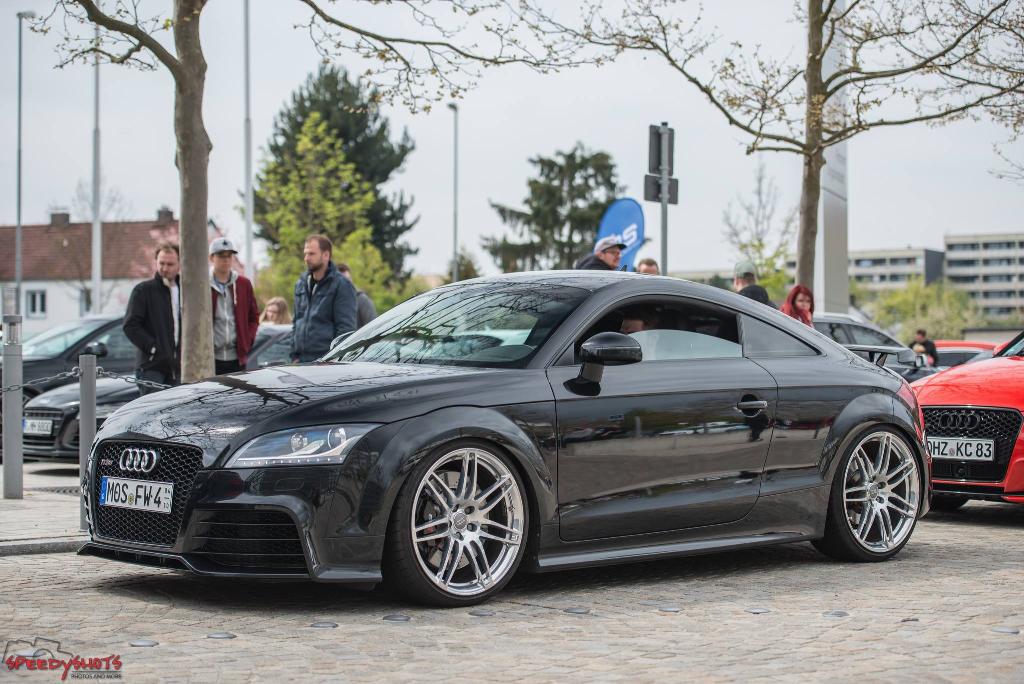 978701AUDITTRS2552.jpg