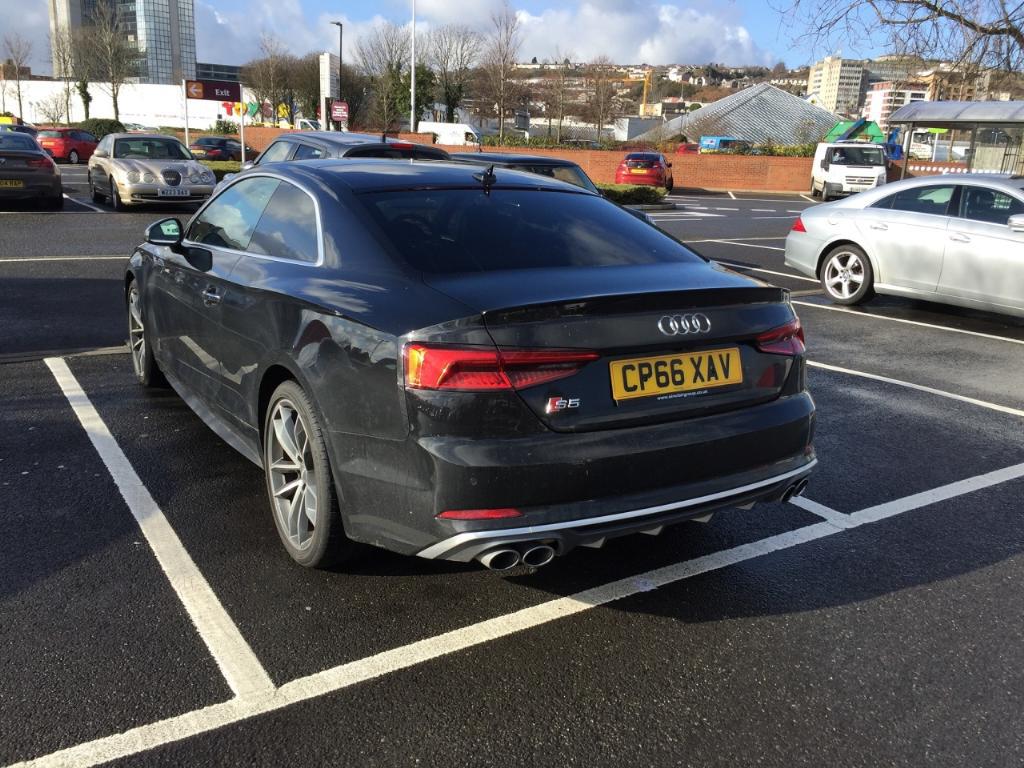 980057S5B90383.jpg