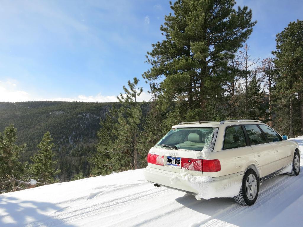 9810061131NEIGE.jpg