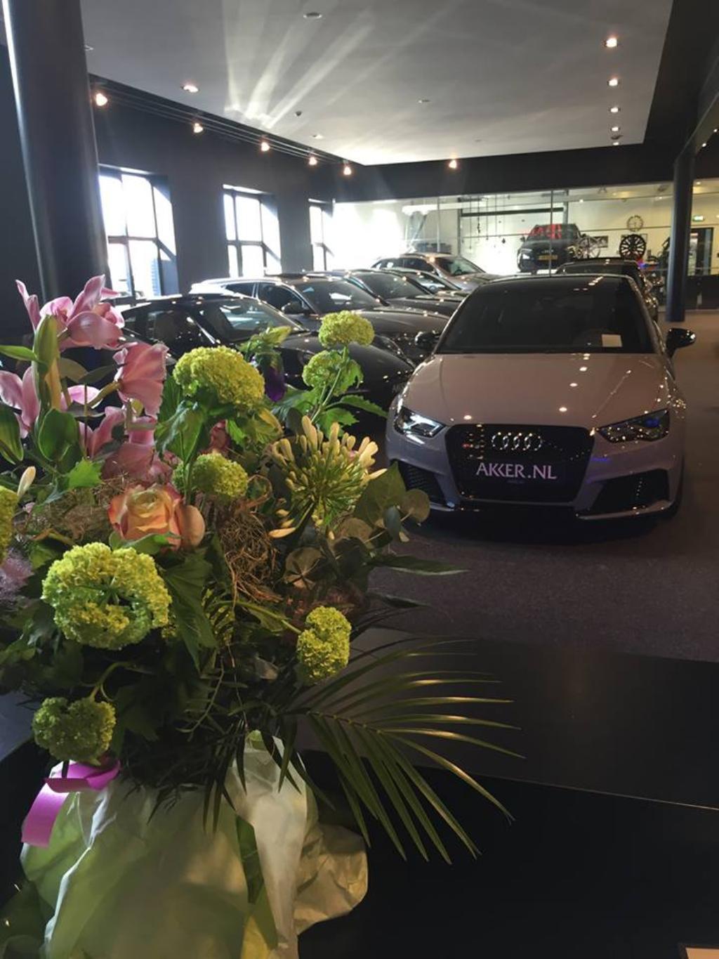 982499RS38V1122.jpg