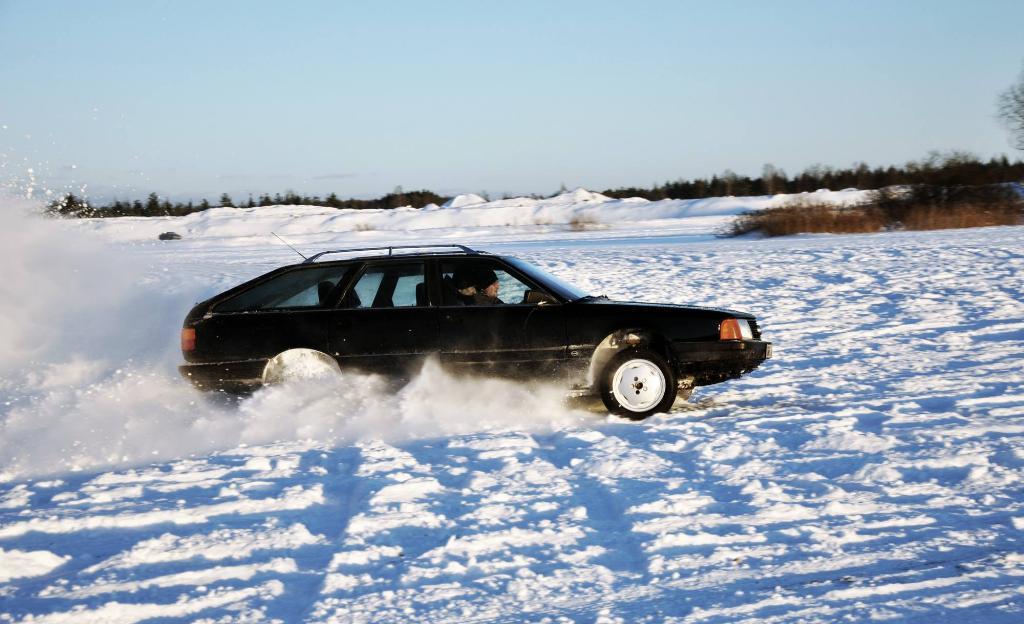 9838811055NEIGE.jpg