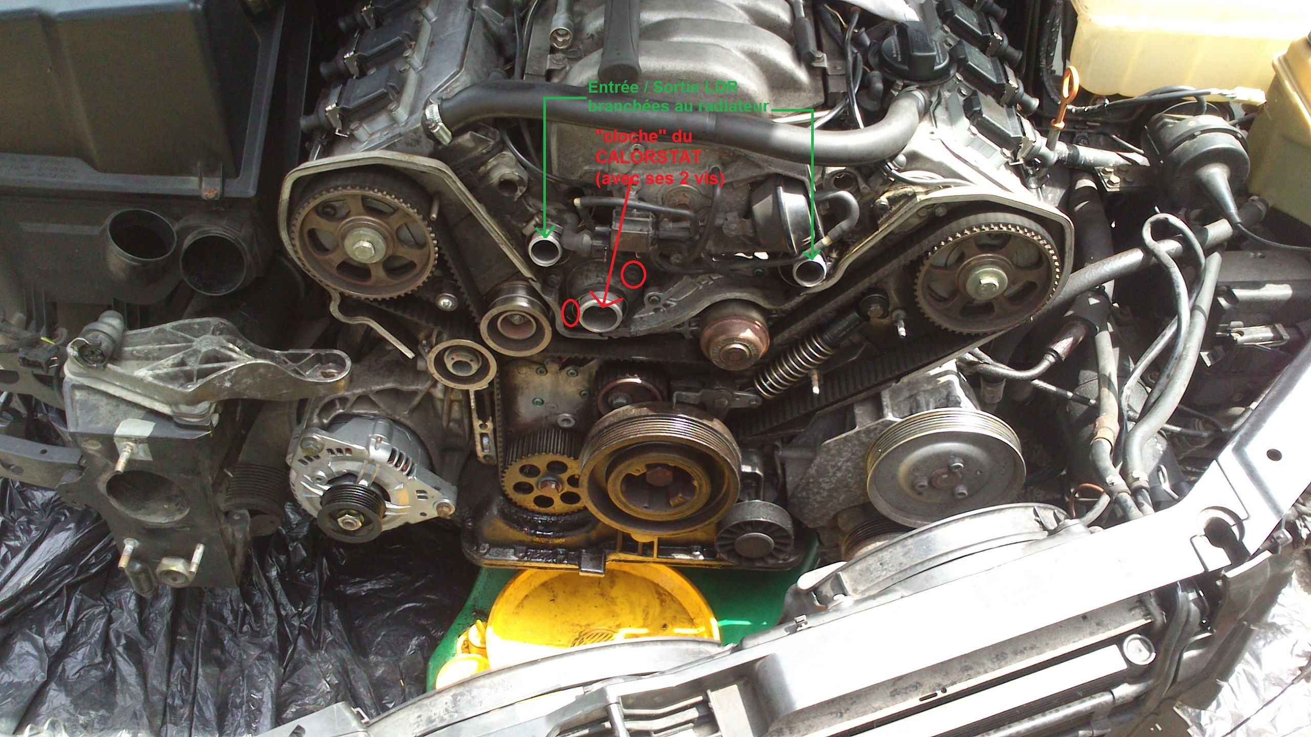 987408DSC0030.jpg