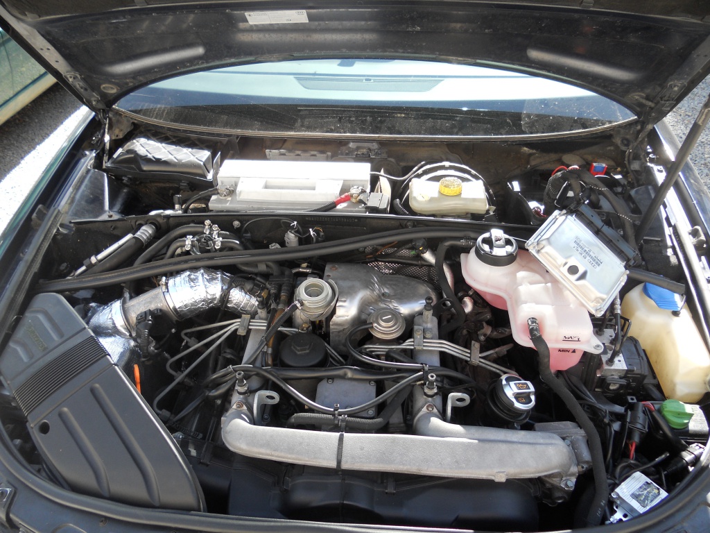 988303DSCN2402.jpg