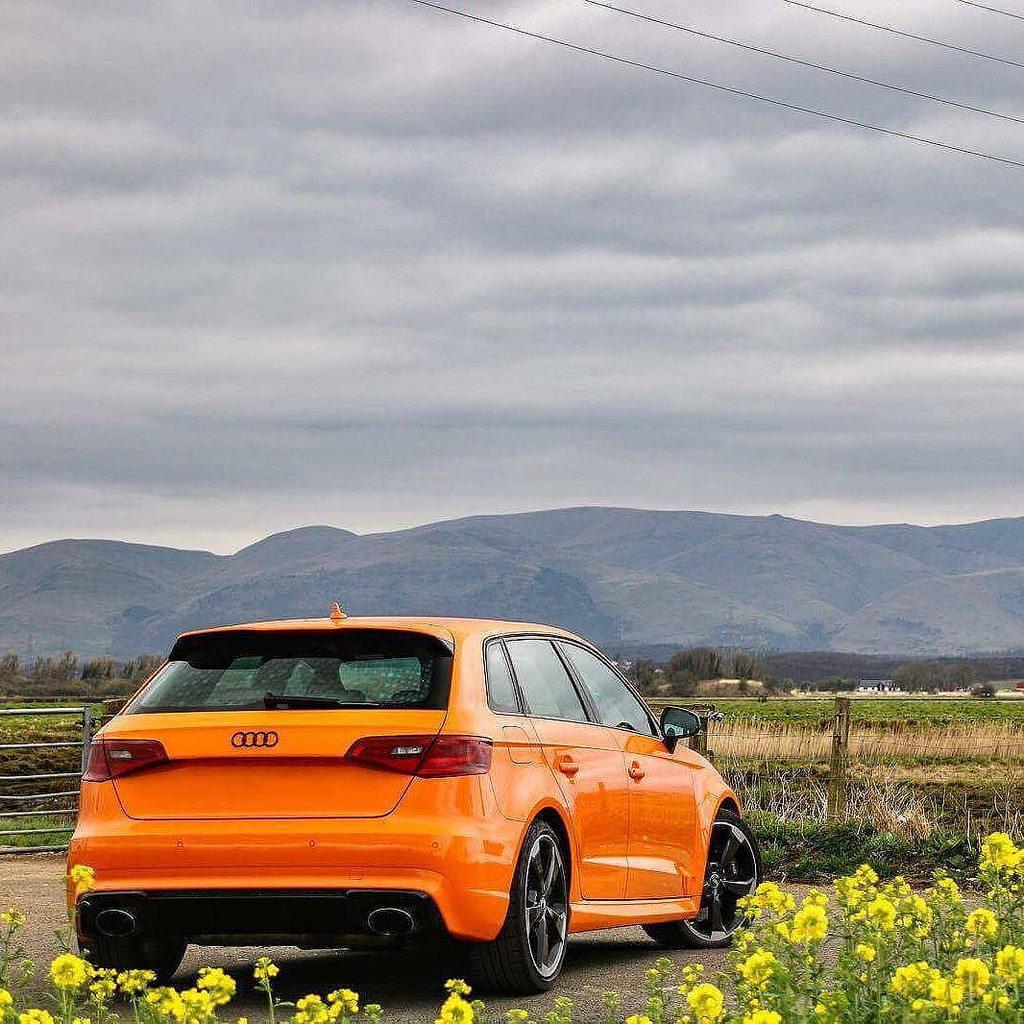 990186RS38V2404.jpg