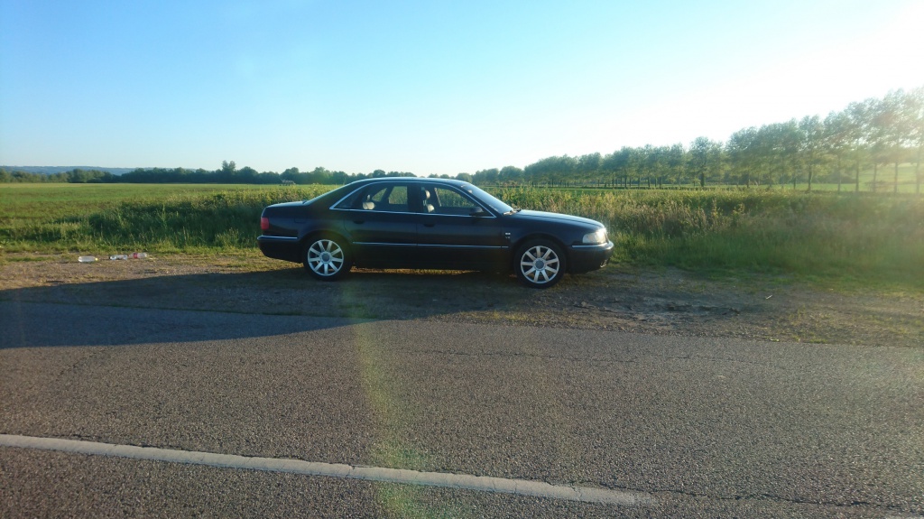 991374DSC1930.jpg