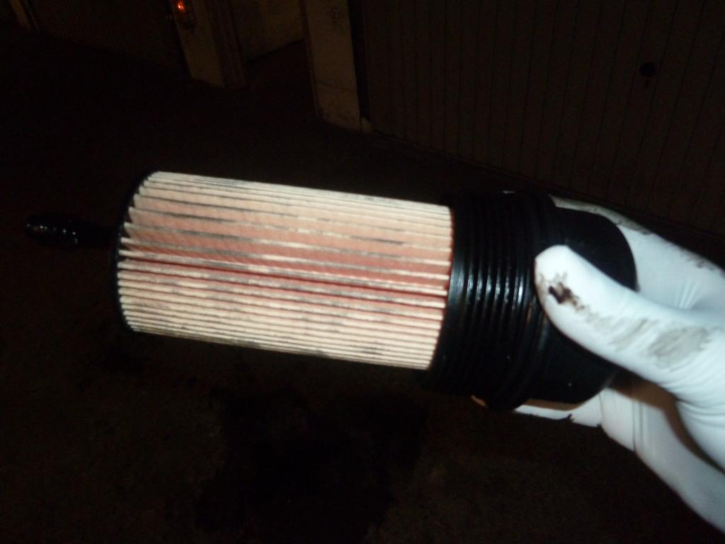 991683P1000998.jpg