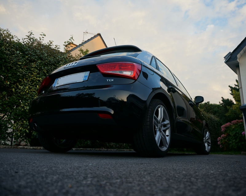993732DSC08828ggy.jpg