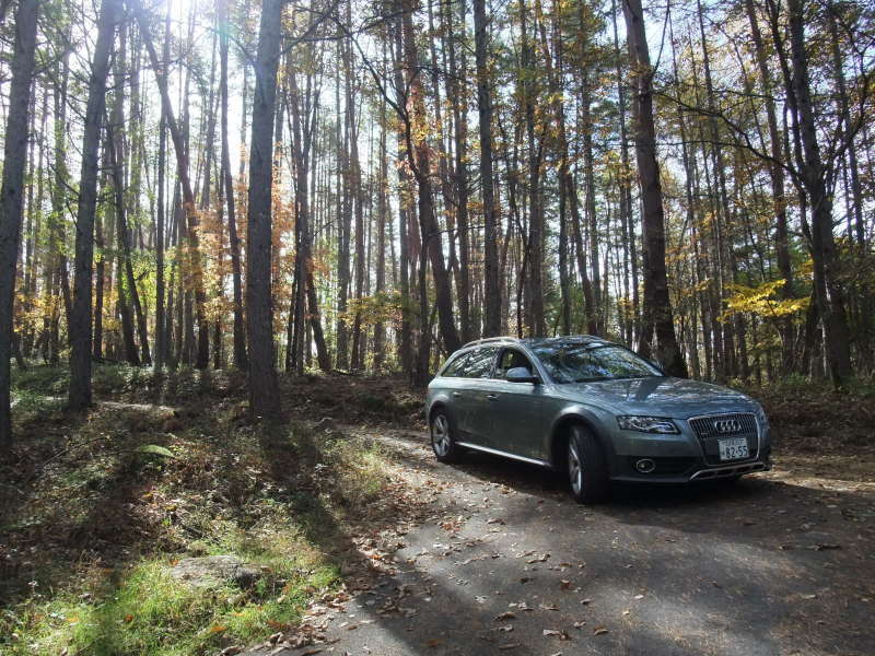 995119196AUDIA4ALLROAD.jpg