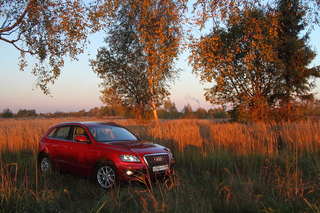 99905986Q5ESQUIROU.jpg