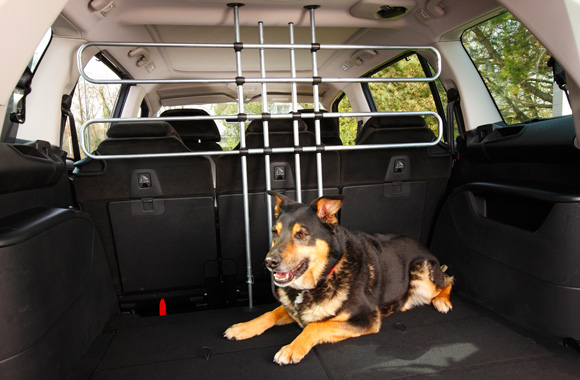 9_cloison-chien.jpg