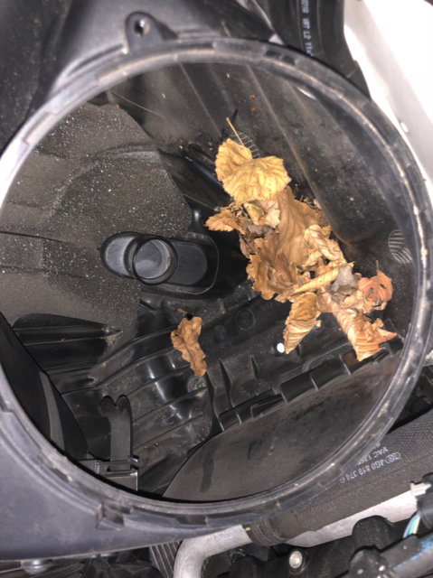 6bf8d92a0fdde33d49dddead2a29d548.heic&key=cd73bf32e976b3bafb4aed4857fc3c2d1f7a99fa38b09ce84b88c2649485ee5f