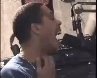 AlarmedLikelyGentoopenguin-size_restrict