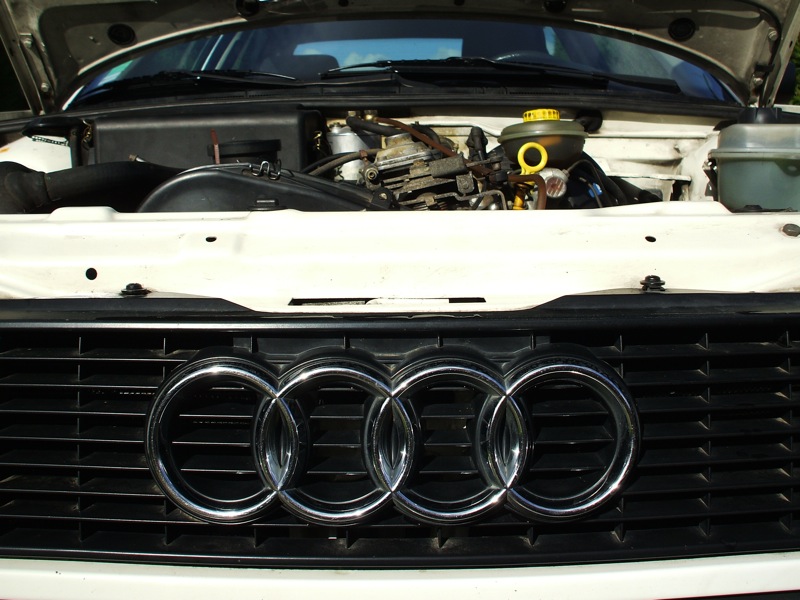 Audi020.jpg