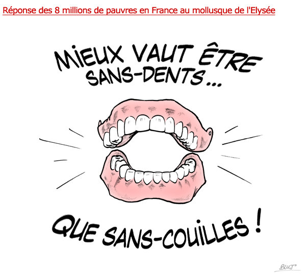 Bluj_hollande-Sans-Dents.jpg