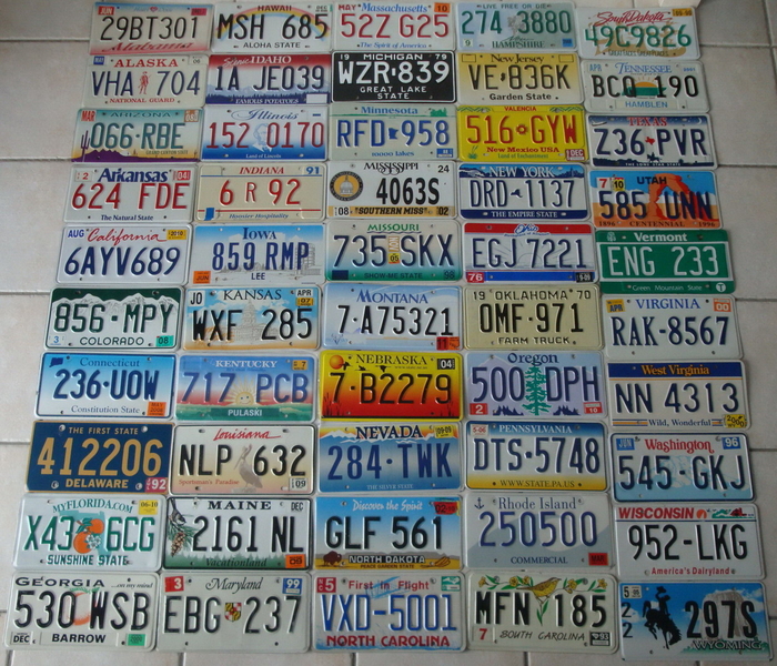 DALICENCEPLATE_LOT_50_ETATS_USA.jpg