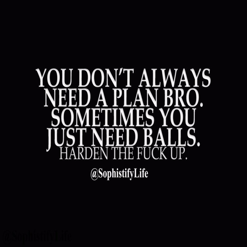 RÃ©sultat de recherche d'images pour "You don't always need a plan bro. Sometimes you just need balls..."