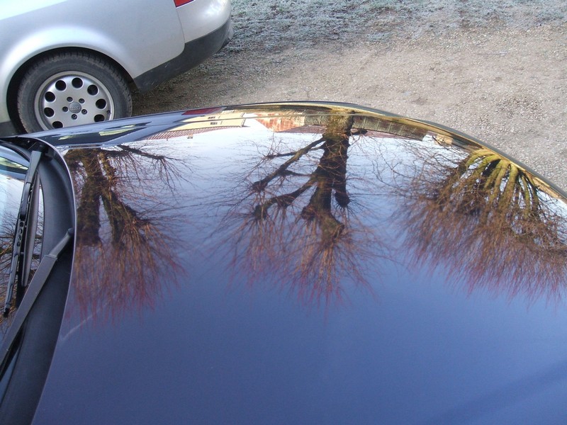 DSCF2918.jpg