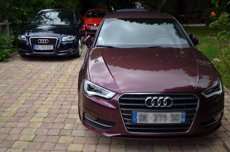 DSC_8772m.jpg