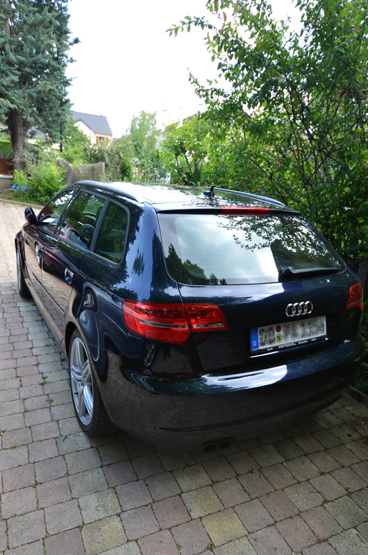 DSC_8775m.jpg