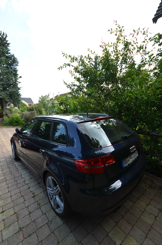 DSC_8783m.jpg