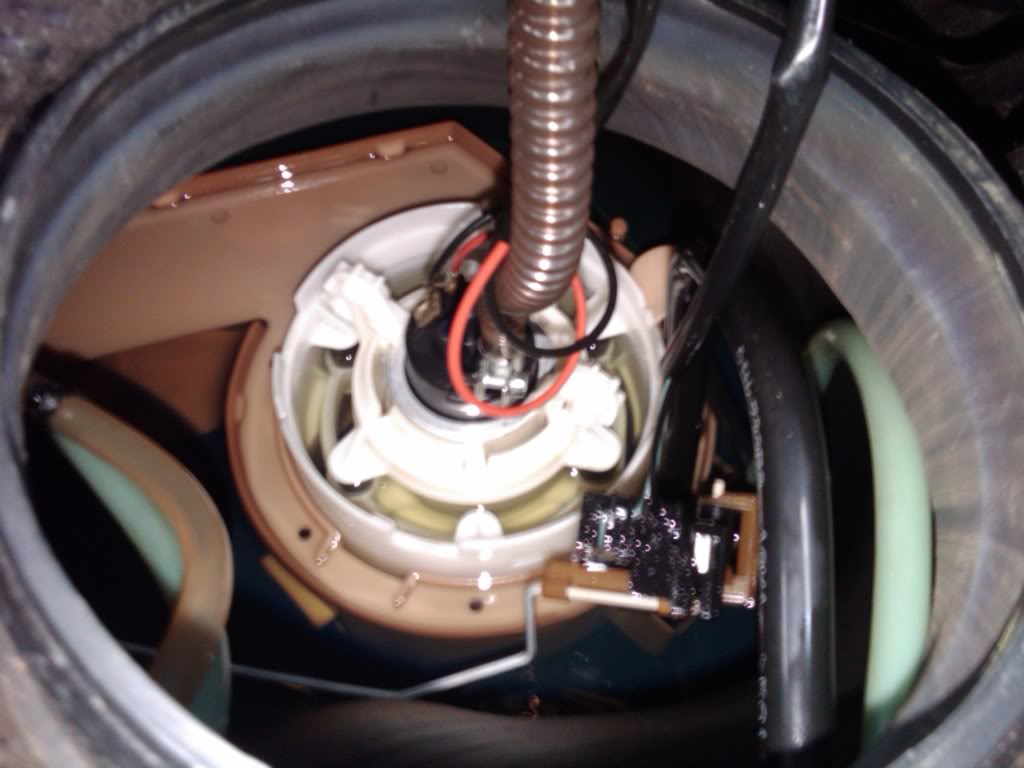 IMG00074-20100823-1318.jpg