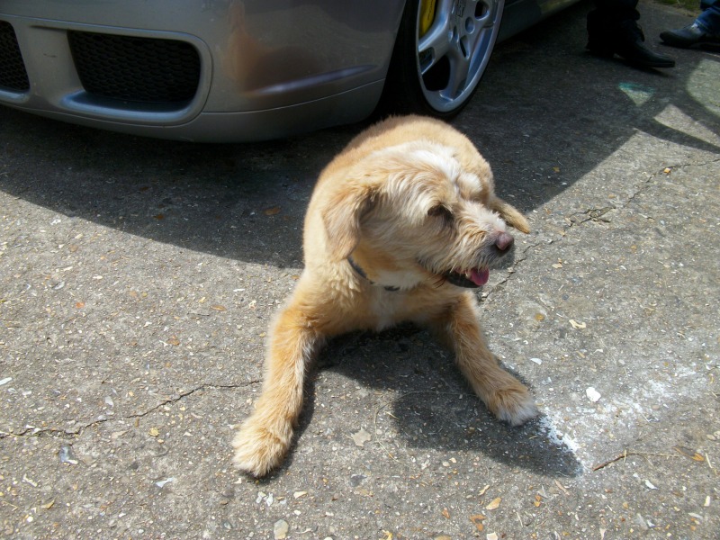 IMGP2367.jpg