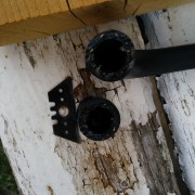 IMG_20170619_190614.jpg