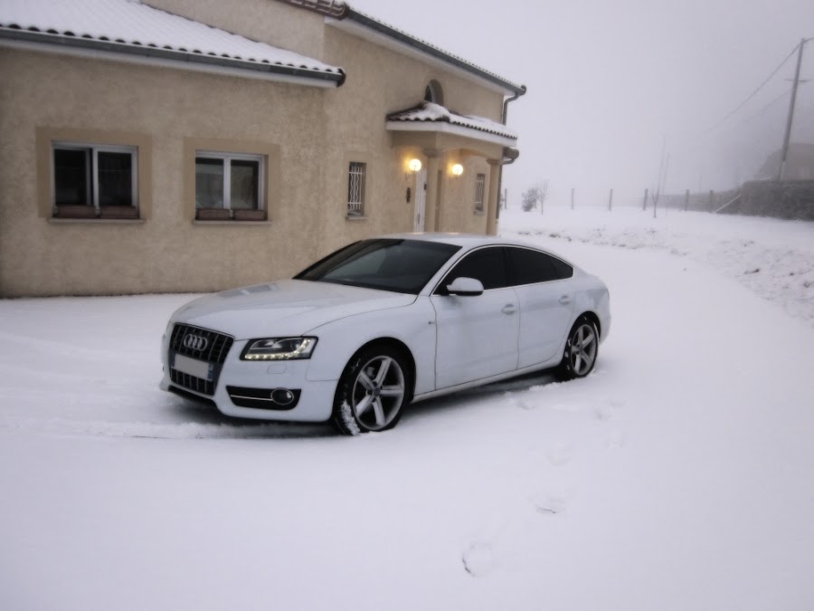 IMG_38271.jpg